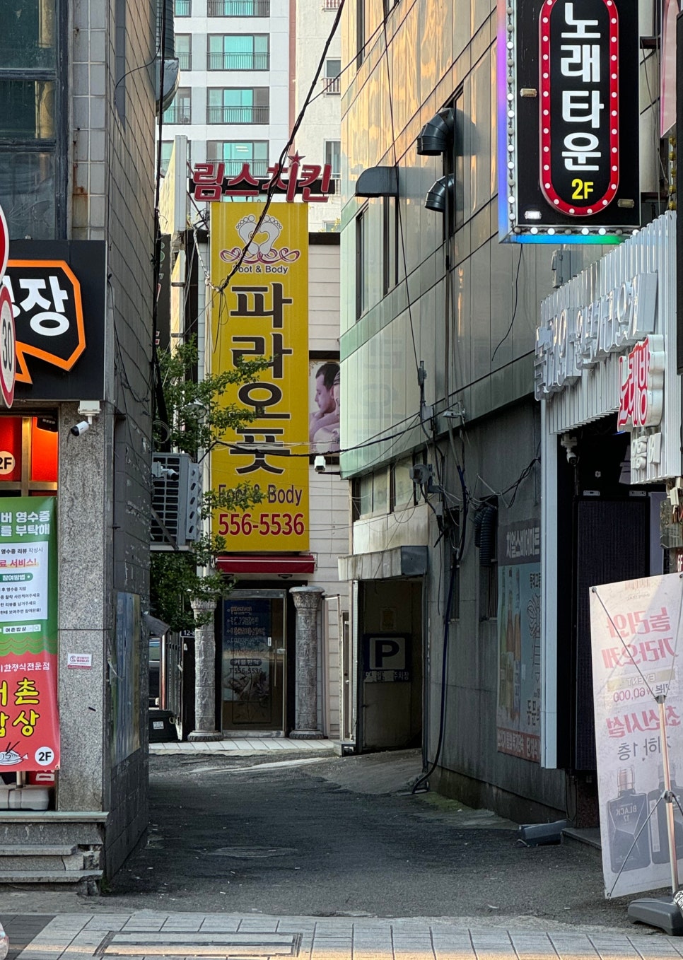 파라오풋 이미지