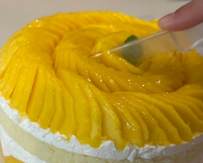 망고준코 이미지