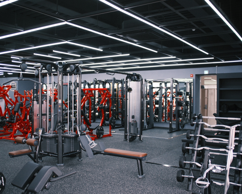 Y.GYM 이미지