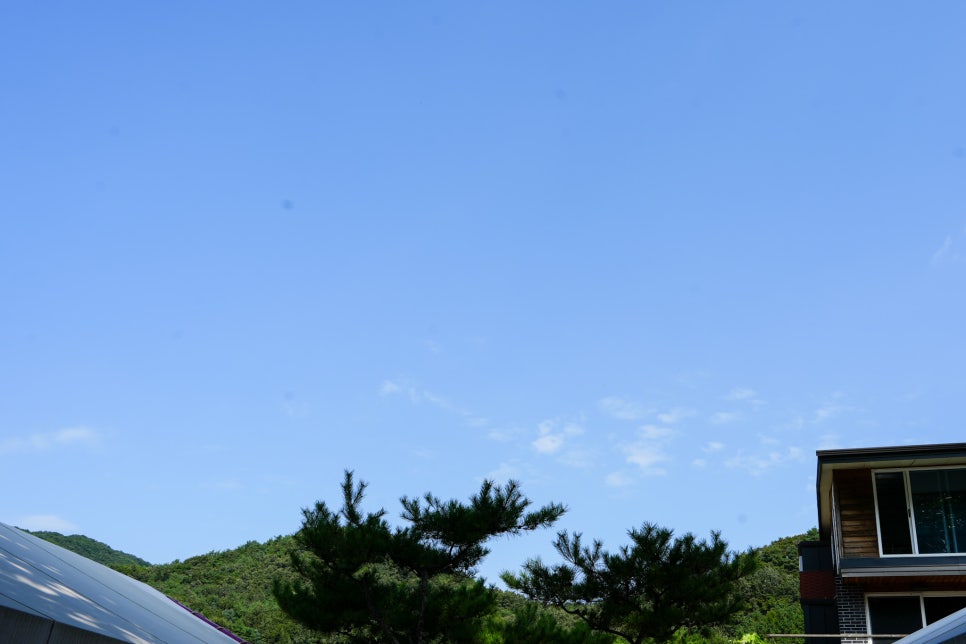 차박 대신 선택한 포천 아쿠아마린 글램핑장 추천 에서의 아내와 함께한 바베큐와 불멍이 일품 이미지 16