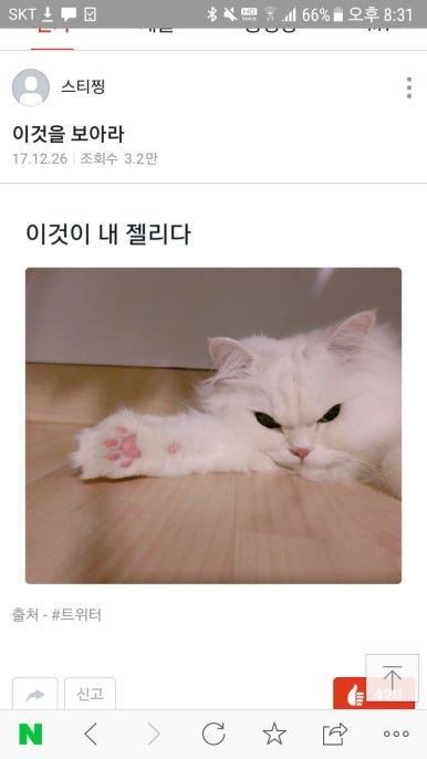 쓰담 이미지