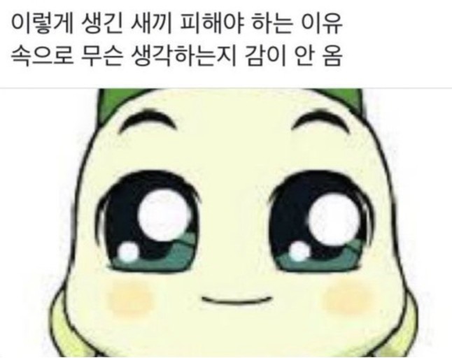 굽도 이미지