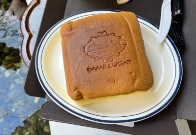 베르테라 이미지