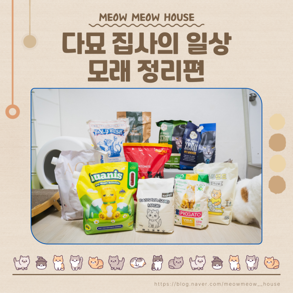 캐츠박스 이미지