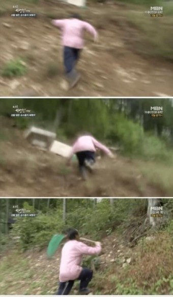 포크마운틴 이미지