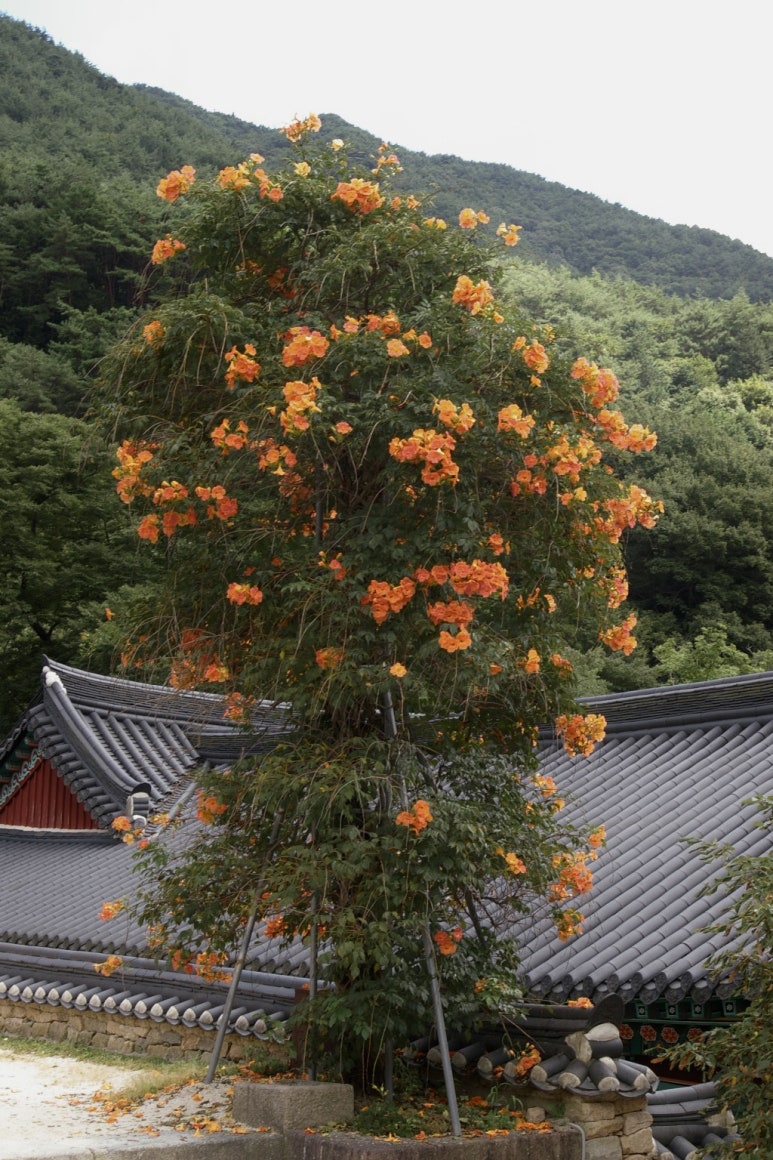 노아펜션 이미지