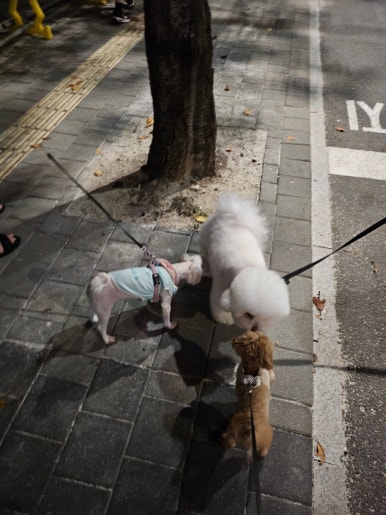 한성세탁소 이미지