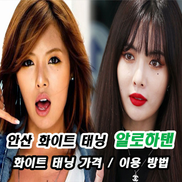 알로하탠 이미지