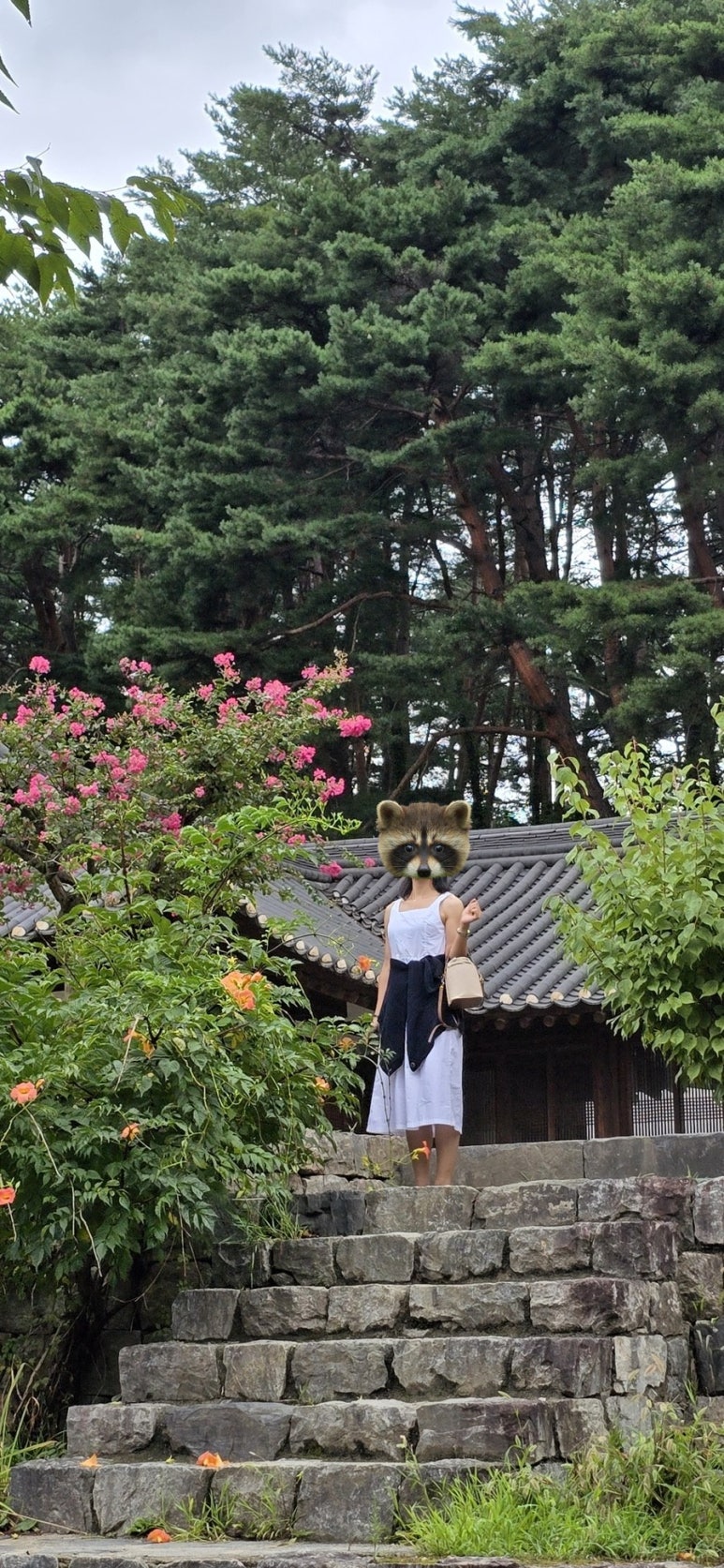 강릉바다다해물포차 이미지