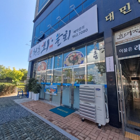 청춘회물회 이미지