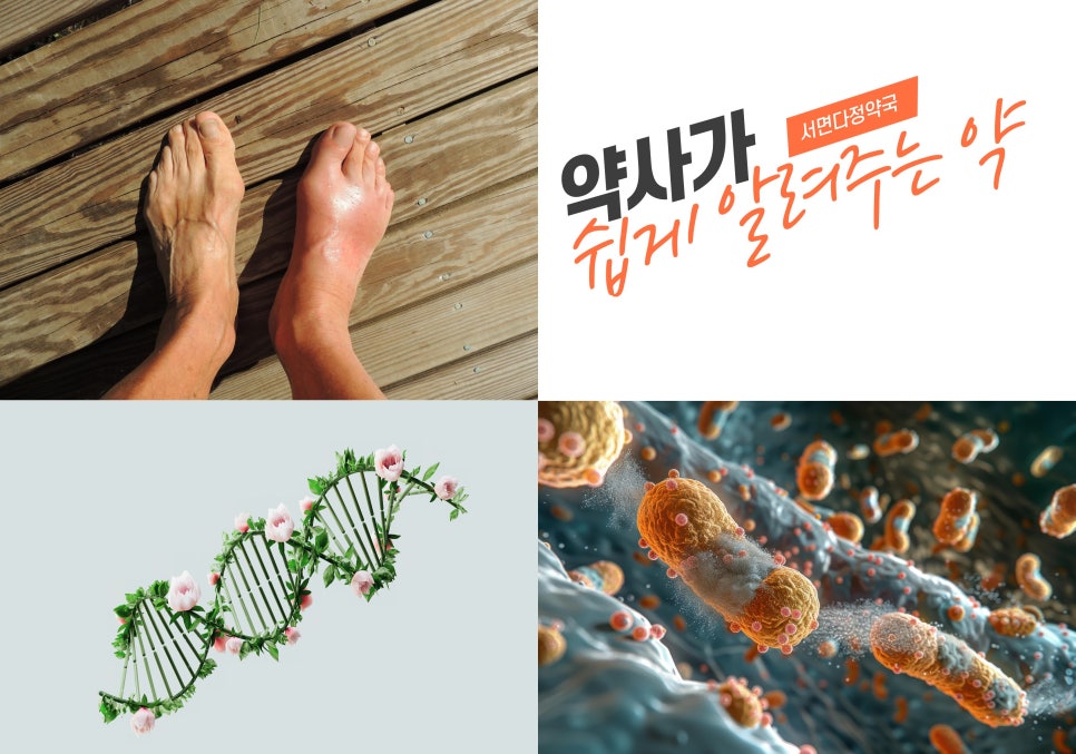 장수 엽록소 이미지
