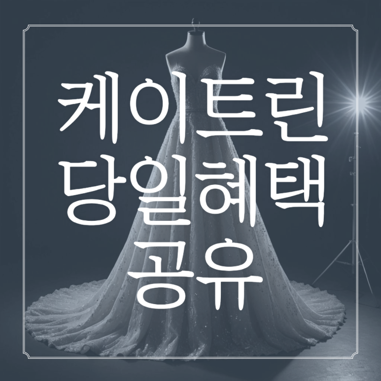 (주)린투어 이미지