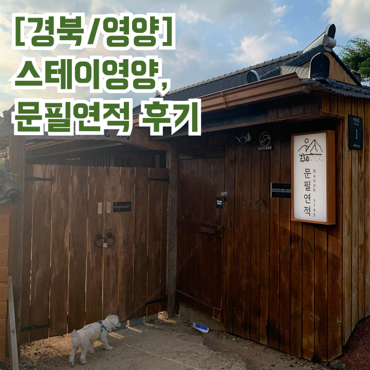 문필연적 이미지