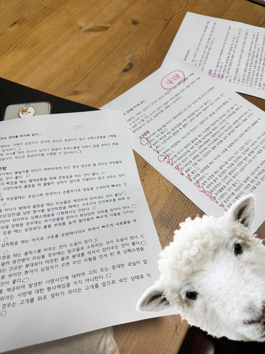 영아뒷고기 이미지