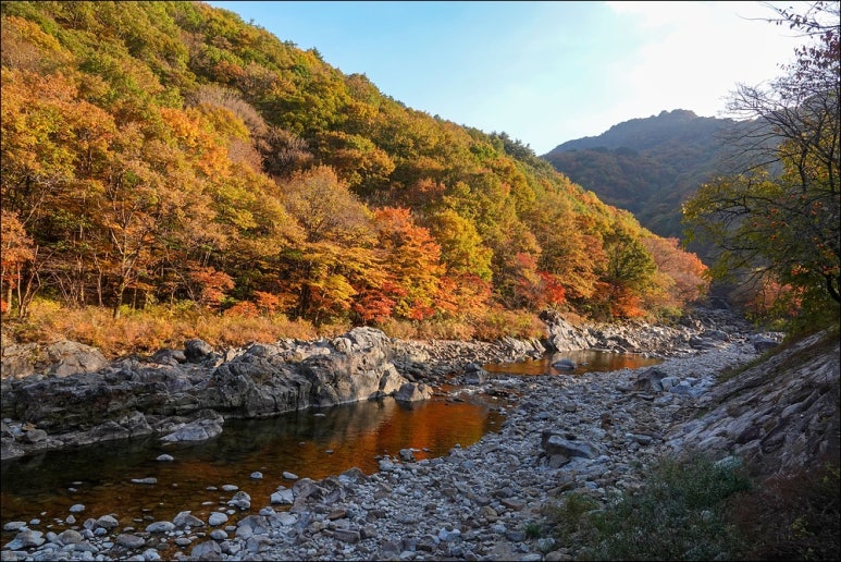 공정행정사사무소 이미지