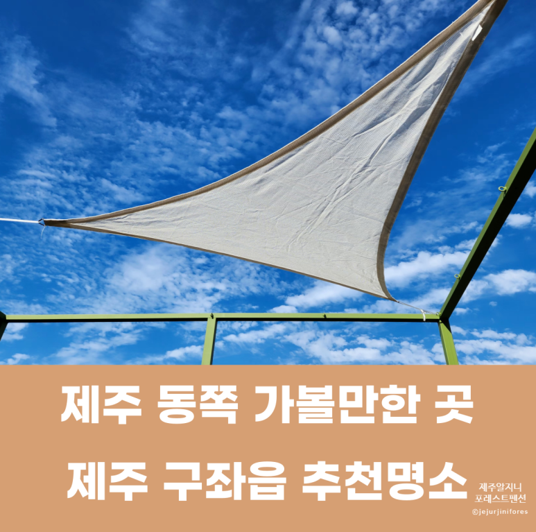 알지니포레스트 이미지