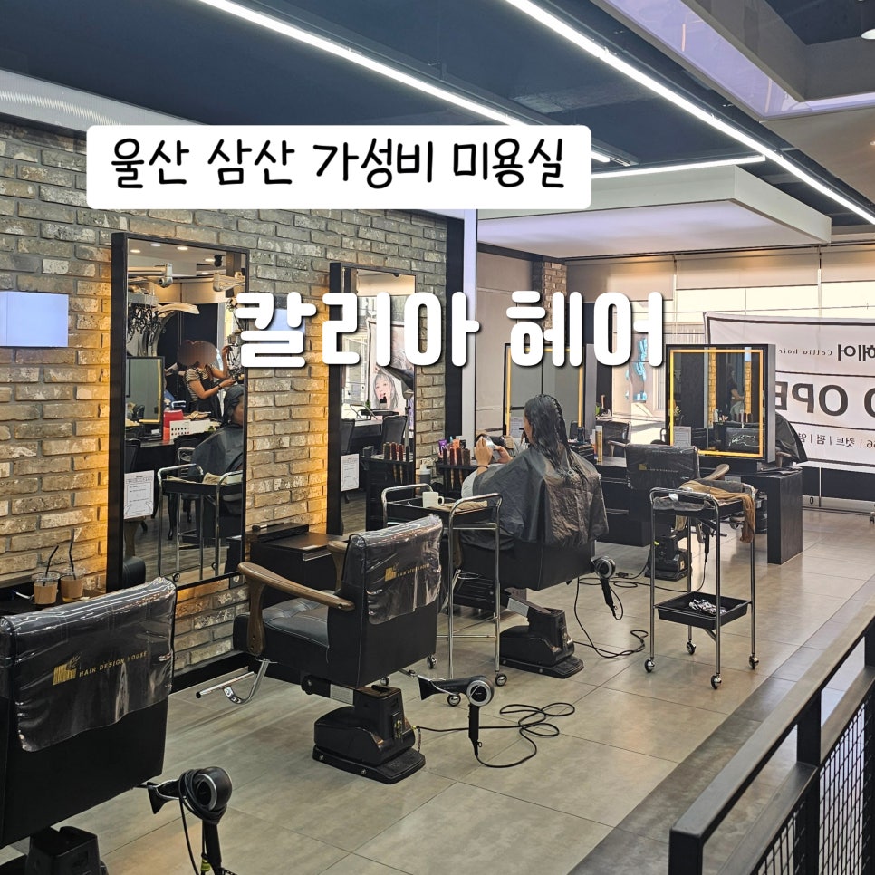 헤어칼리아 이미지