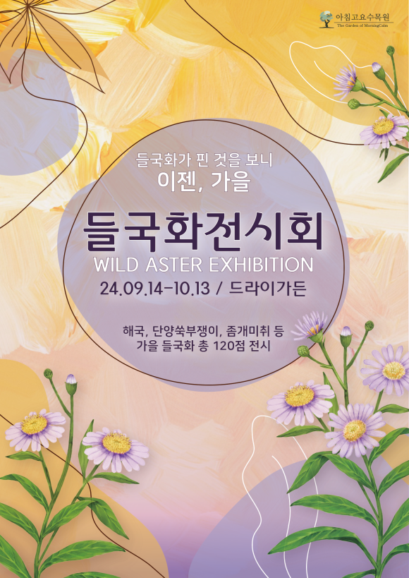들국화가든 이미지