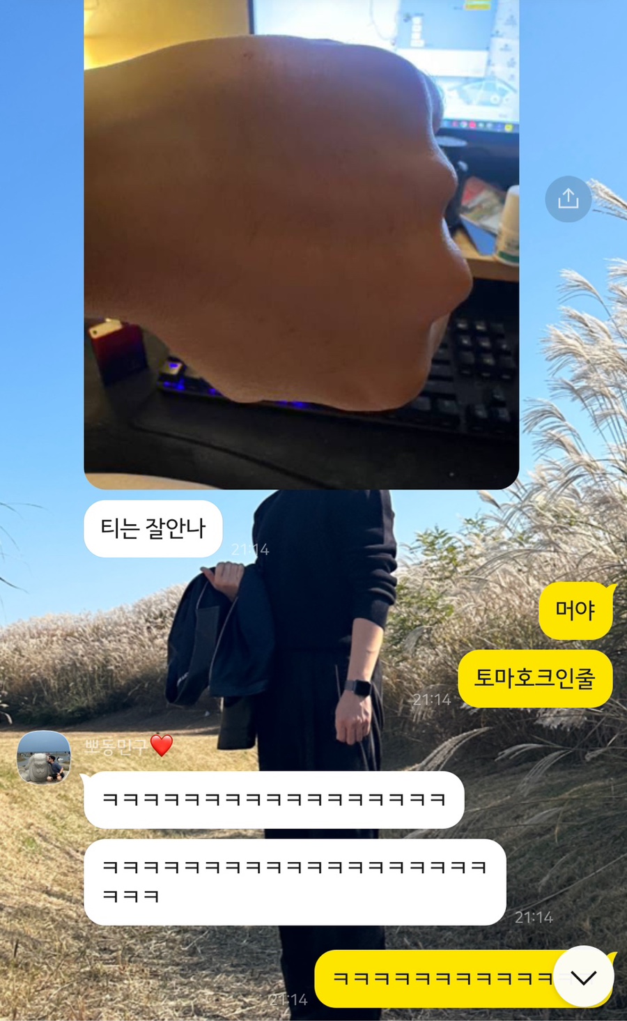 누볼라풀빌라 이미지