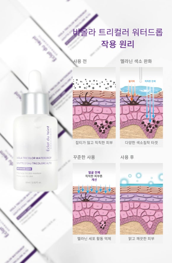 에끌라에스테틱 이미지