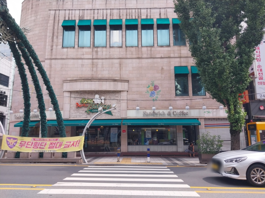 코아양과 이미지