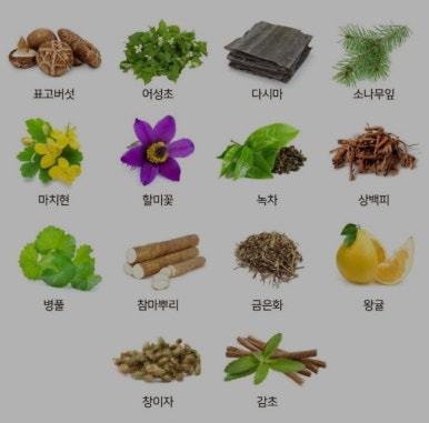 이로움케어 이미지