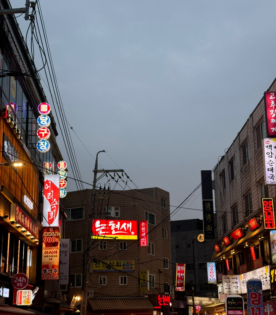 논현새 강남 본점 이미지
