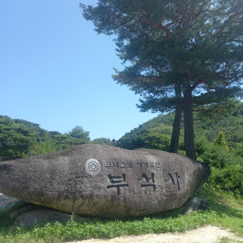 나들이민박 이미지