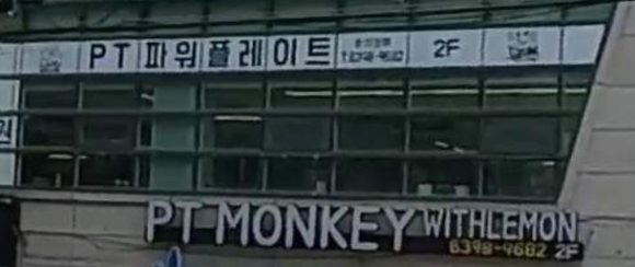피티몽키위드레몬 이미지
