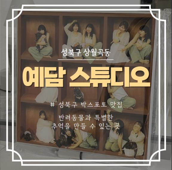 예담포토 이미지
