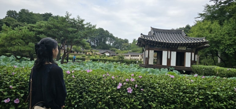 강릉바다다해물포차 이미지