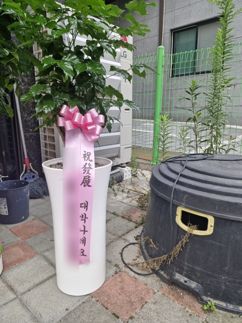 연산화분 이미지