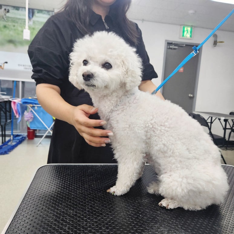 스타미용학원 이미지