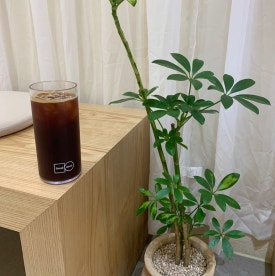 스몰굿커피 춘천명동점 이미지