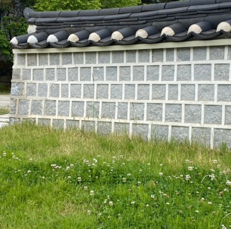 담 이미지