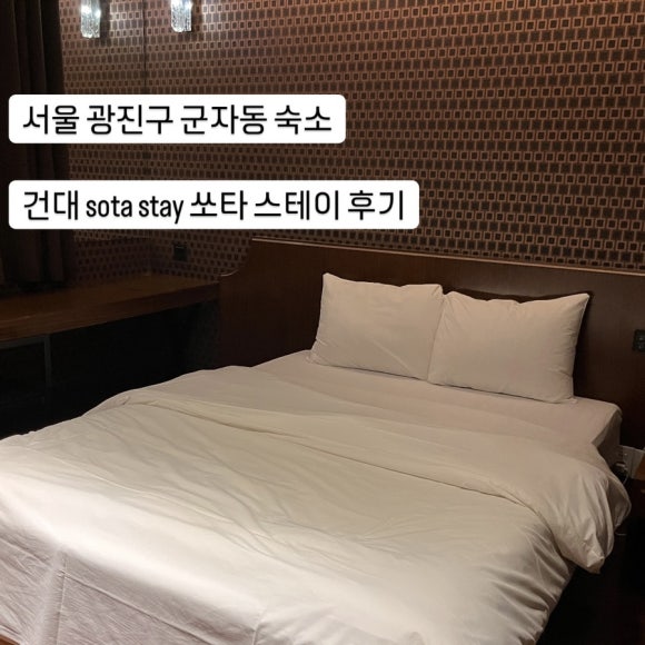쏘타스테이건대 이미지