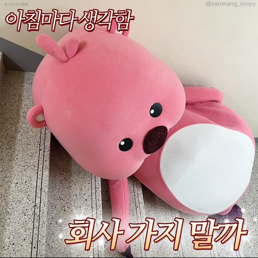 비비쿡 이미지