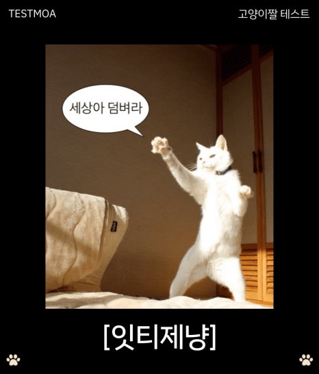 테트리스찜닭 이미지