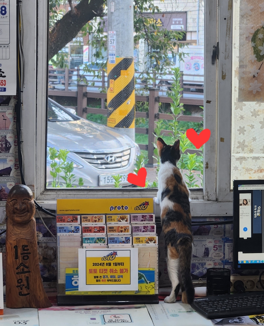 왕대박복권방 이미지