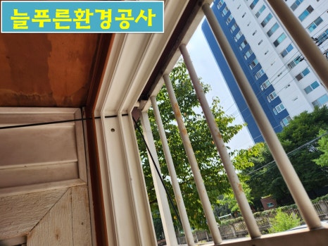 푸른환경공사 이미지