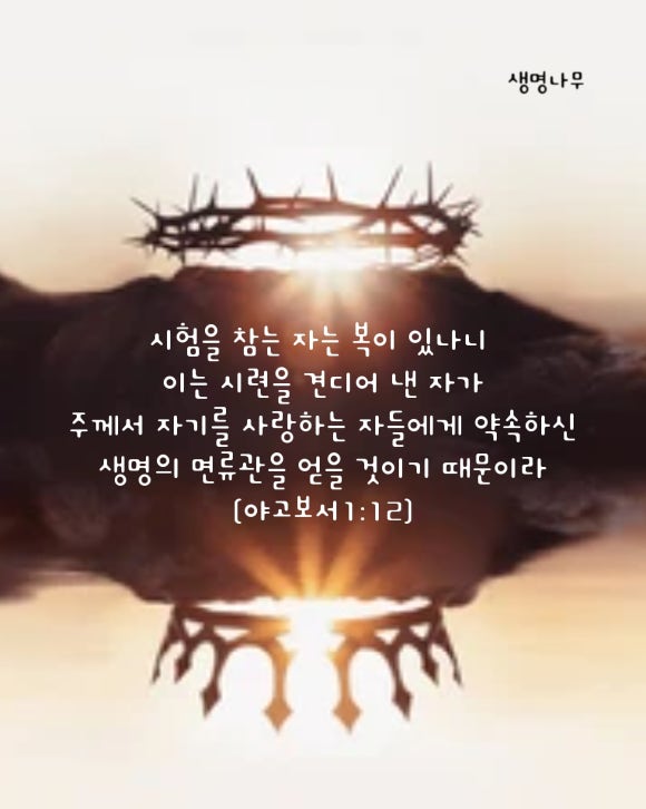 성실한사람들 이미지
