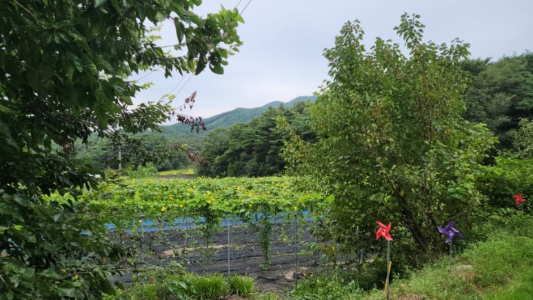 춘향농원 이미지