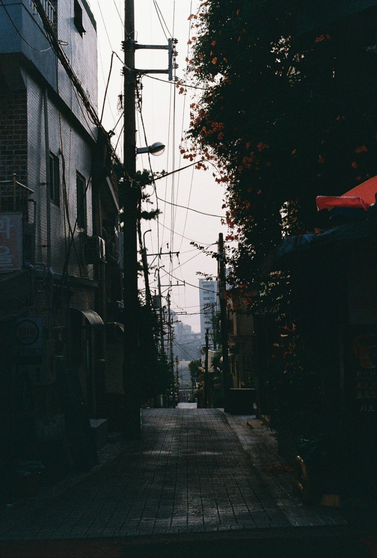 스캔프로 이미지