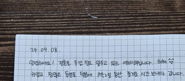 스테이누누 이미지