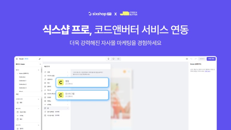 코드식스 이미지