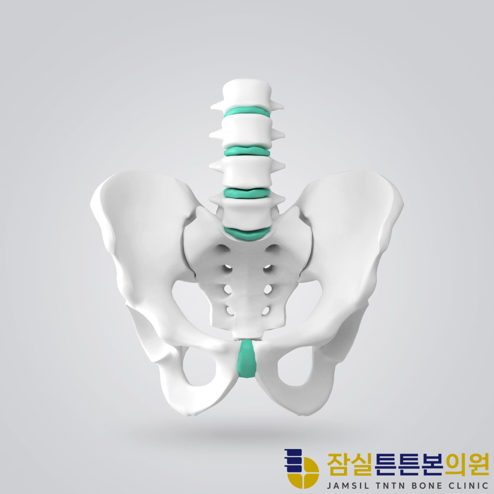 잠실튼튼본의원 이미지