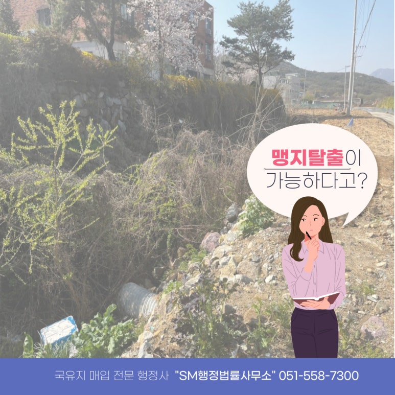 행정사무관행정사무소 이미지