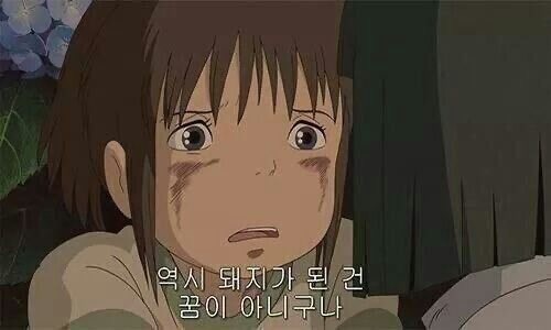되지가 이미지
