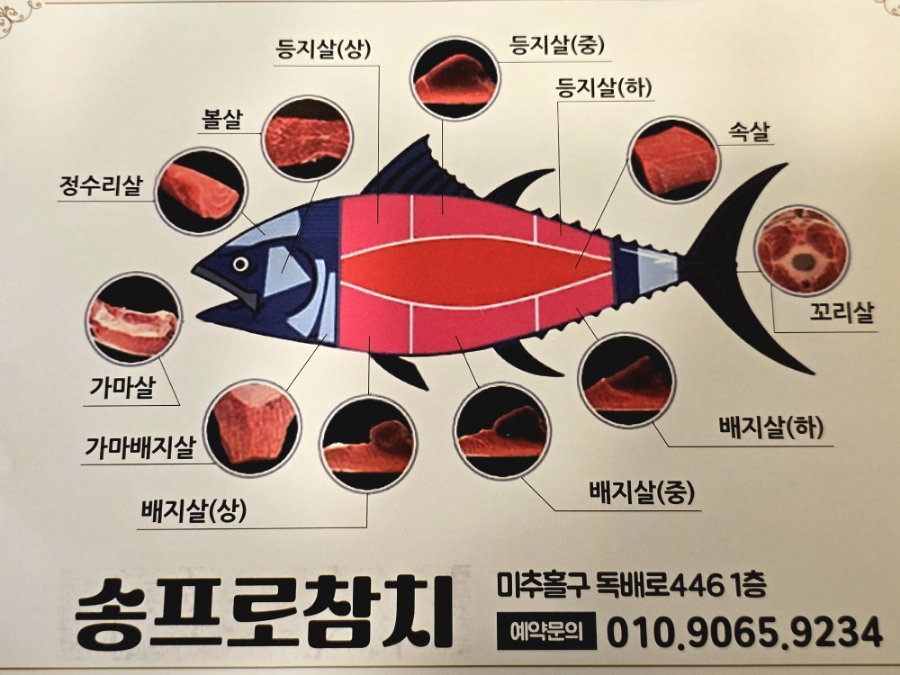 송프로 참치 이미지