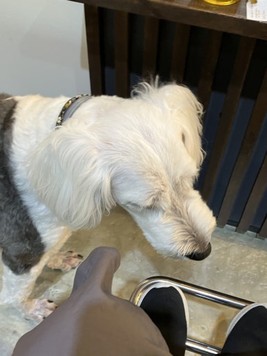 사월헤어살롱 이미지